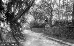 St Helier, Trinity Lane 1894, Jersey