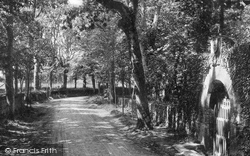 Vinchelez Lane 1894, Jersey
