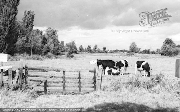 Photo of Kelvedon, Meadow Land c.1960