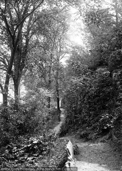 Photo of Kendal, Serpentine Walks 1894