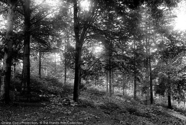 Photo of Kendal, Serpentine Walks 1894