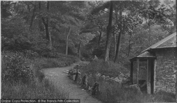 Photo of Kendal, Serpentine Woods c.1925
