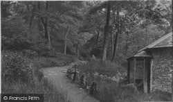 Serpentine Woods c.1925, Kendal