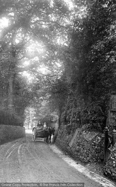 Photo of Kenley, Hayes Lane 1903