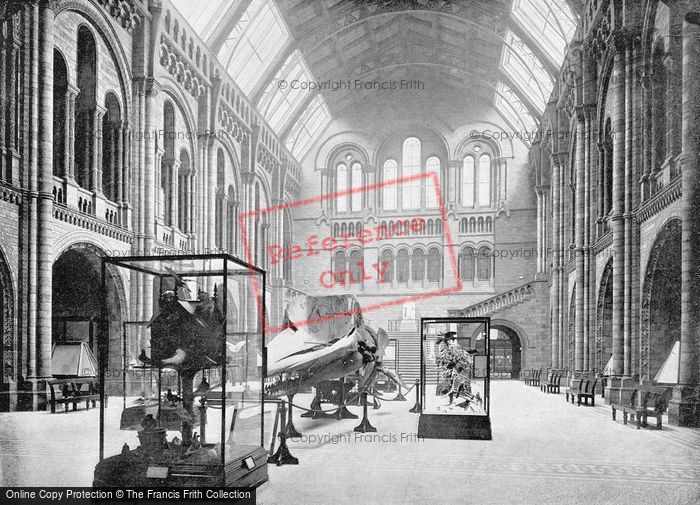 Photo of Kensington, Entrance Hall, The Natural History Musem c.1895