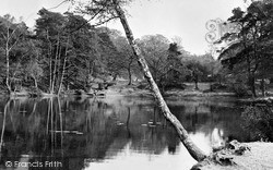 The Pond c.1960, Keston