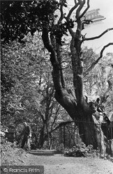 Wilberforce Oak c.1955, Keston