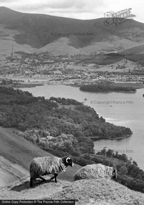 Photo of Keswick, Sheep On Cat Bells c.1955