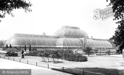 Gardens, The Palm House 1899, Kew