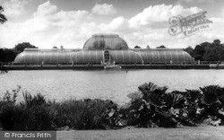 The Lake And Palmhouse c.1960, Kew
