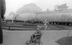 The Palm House c.1950, Kew