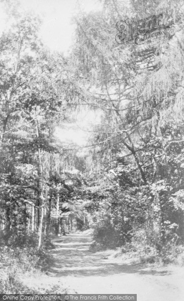 Photo of Kewstoke, Woods 1896