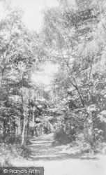 Woods 1896, Kewstoke