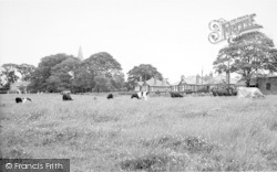 The Village c.1955, Keyingham
