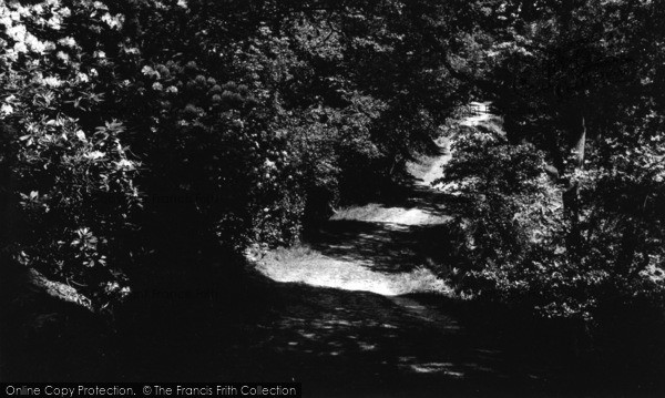 Photo of Kildale, Walk In The Woods c.1960