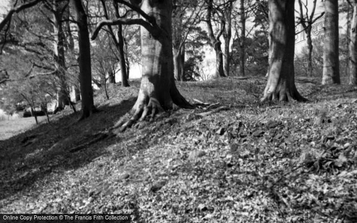 Photo of Killerton, Iron Age Camp 1960
