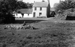 Doon Well c.1955, Kilmacrennan
