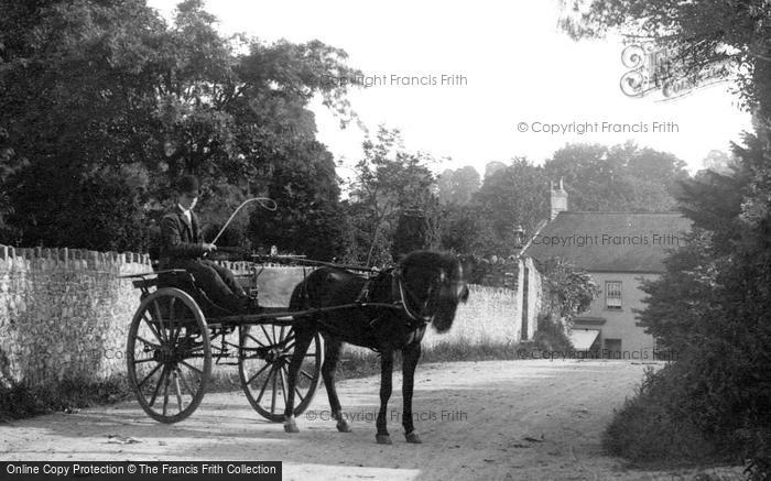 Photo of Kilmington, Horse And Trap In Village 1902