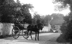 Horse And Trap In Village 1902, Kilmington