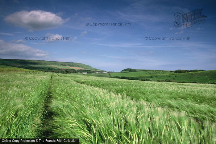 Photo of Kimmeridge, From Across The Fields 2004