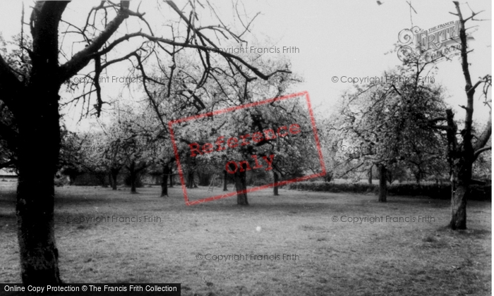 Photo of Kings Langley, Cherry Orchard c.1960