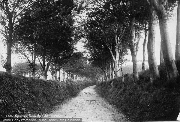 Photo of Kingsbridge, Combe Royal Hill 1890