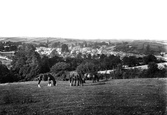 General View 1920, Kingsbridge