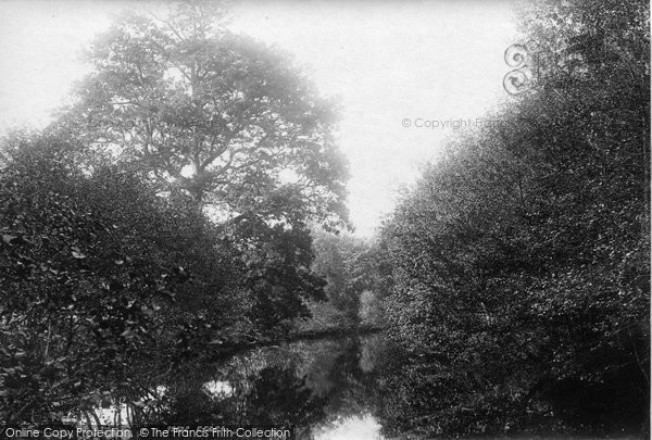 Photo of Kingsbridge, On The Avon, Woodleigh Woods 1895