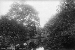 On The Avon, Woodleigh Woods 1895, Kingsbridge