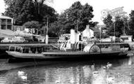 The Ps Compton Castle c.1965, Kingsbridge