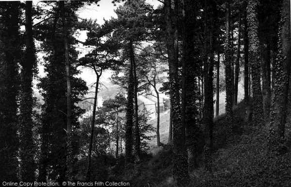 Photo of Kingsdown, The Woods c.1965