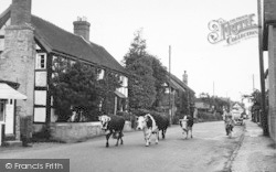 The Village c.1955, Kingsland