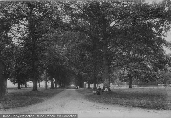 Photo of Kingston Lacy, Avenue 1908
