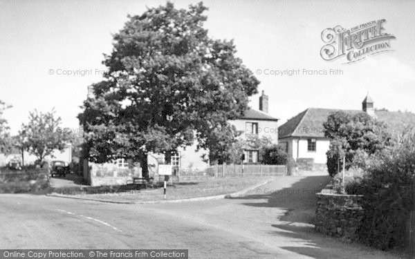 Photo of Kingston St Mary, The Jubilee Oak c.1955