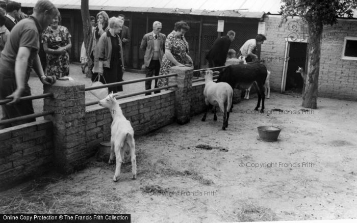Photo of Kirby Misperton, Children's Corner, Flamingo Park Zoo c.1960