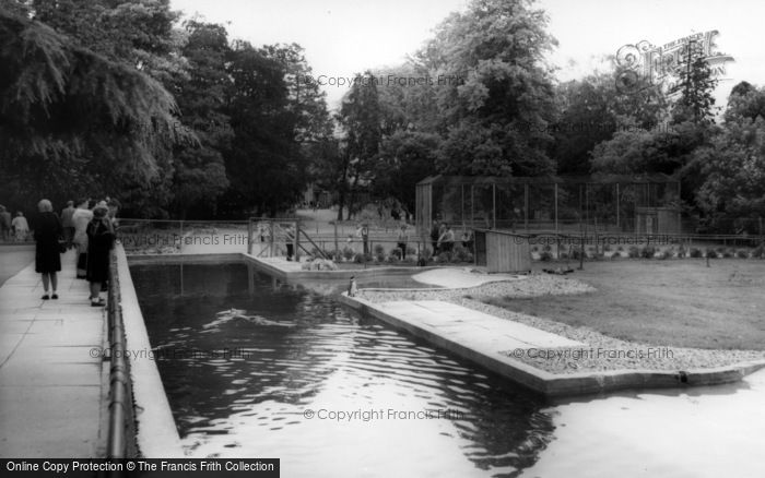 Photo of Kirby Misperton, Penguin Pool, Flamingo Park Zoo c.1960