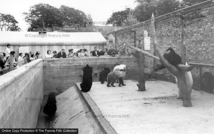 Photo of Kirby Misperton, The Bear Enclosure, Flamingo Park Zoo c.1960