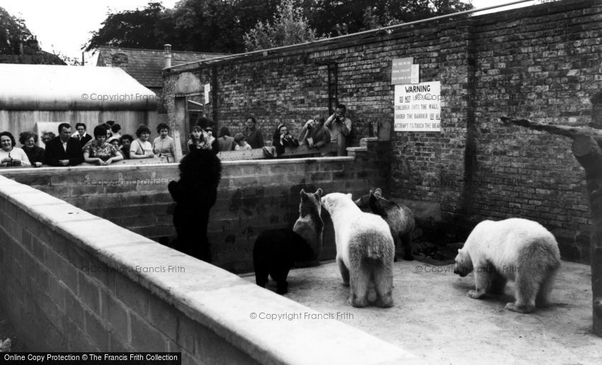 Kirby Misperton, the Bear Pit, Flamingo Zoo Park c1960