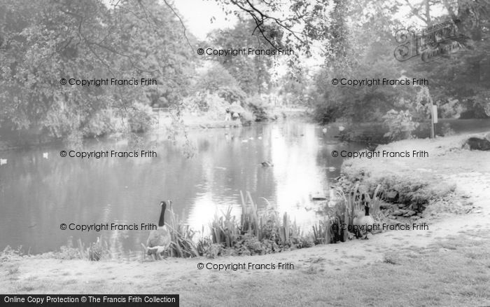 Photo of Kirby Misperton, The Lake, Flamingo Park Zoo c.1960