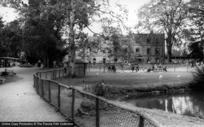 Photo of Kirby Misperton, The Lake, Flamingo Park Zoo c.1960