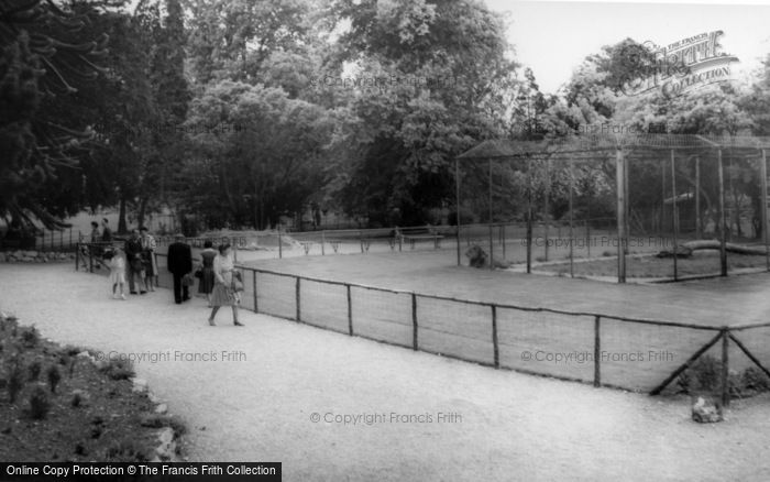 Photo of Kirby Misperton, The Lion Enclosure, Flamingo Park Zoo c.1960