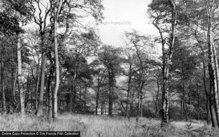 Photo of Kirkburton, Woodsome Hall Woods c.1950