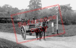 Horse And Cart 1911, Knaphill