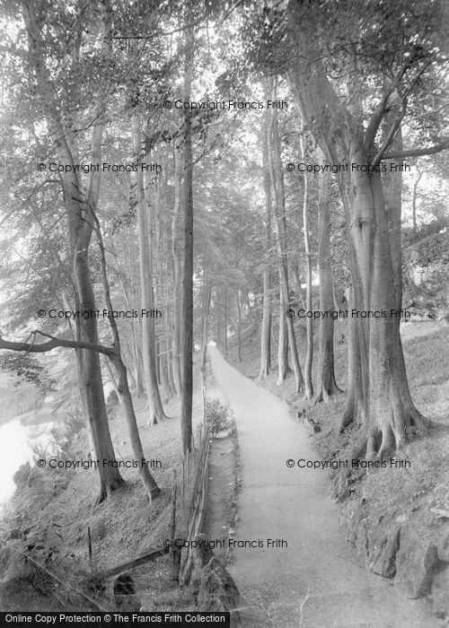 Photo of Knaresborough, Beech Avenue, Dropping Well 1914