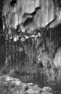 The Dropping Well c.1965, Knaresborough