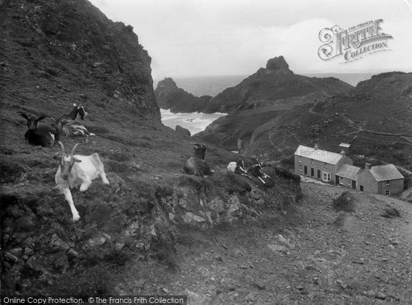 Photo of Kynance Cove, Cliff Goats 1927
