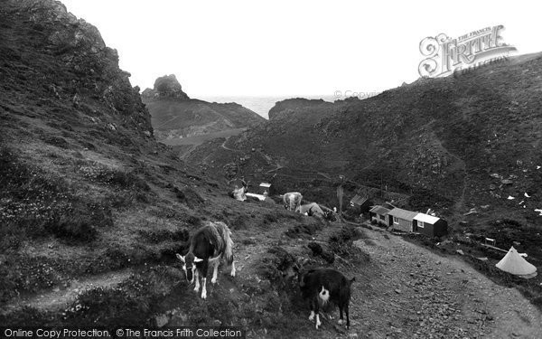 Photo of Kynance Cove, Goats In The Valley 1927