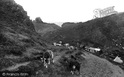 Goats In The Valley 1927, Kynance Cove