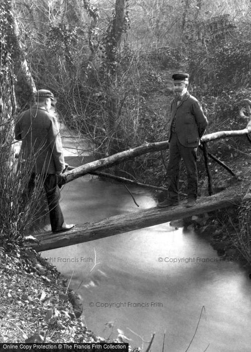 Photo of Lamorna Cove, Gentlemen On Rustic Bridge 1903