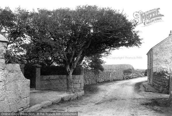 Photo of Land's End, First And Last Tree In England 1908